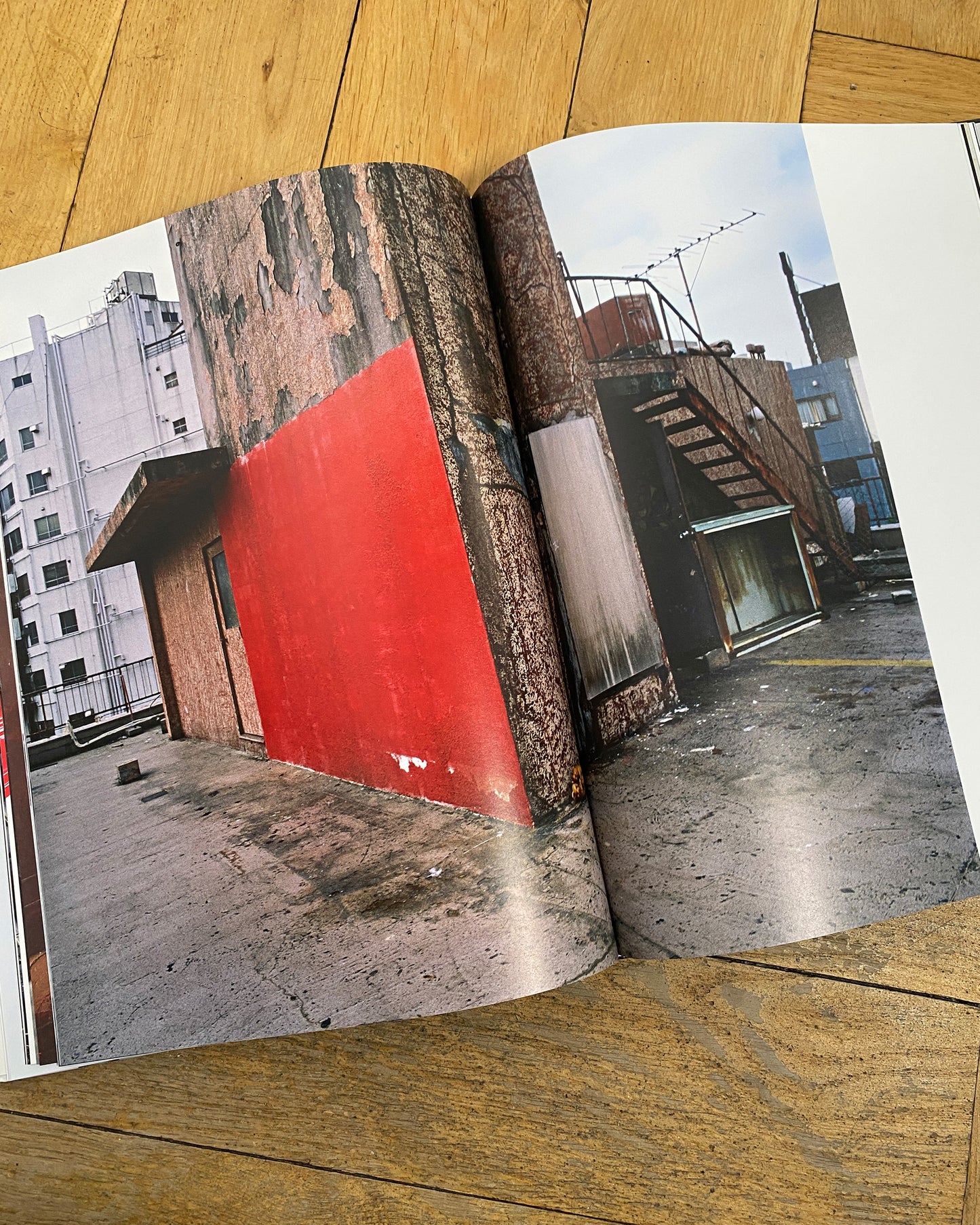 Stern Fotografie 2010 56 Nobuyoshi Araki Book