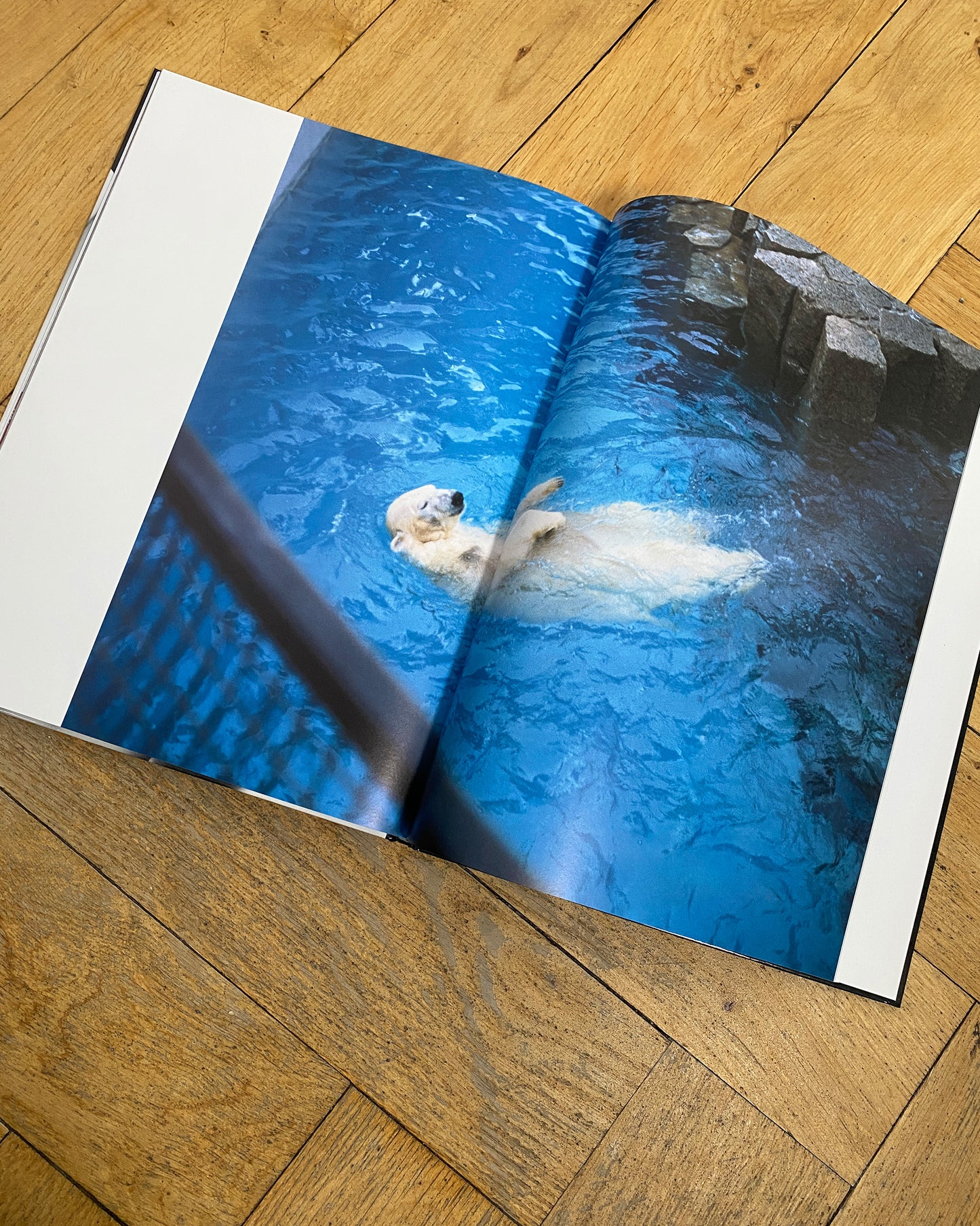 Stern Fotografie 2010 56 Nobuyoshi Araki Book