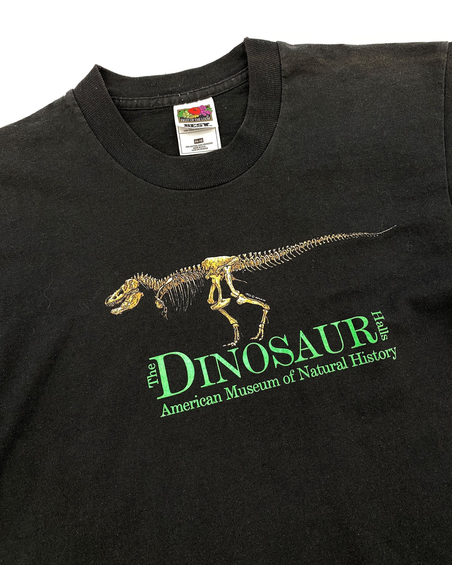 Vintage 1995 Dinosaur American Museum of Natural History Single Stitched Baby T-Shirt Black