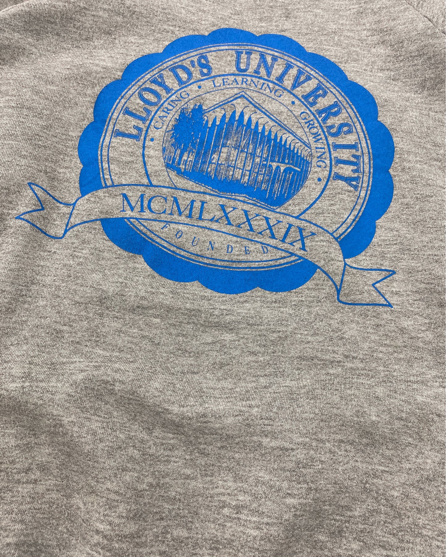 Vintage 1990er Lloyd es University Raglan Crewneck Heathergrey 