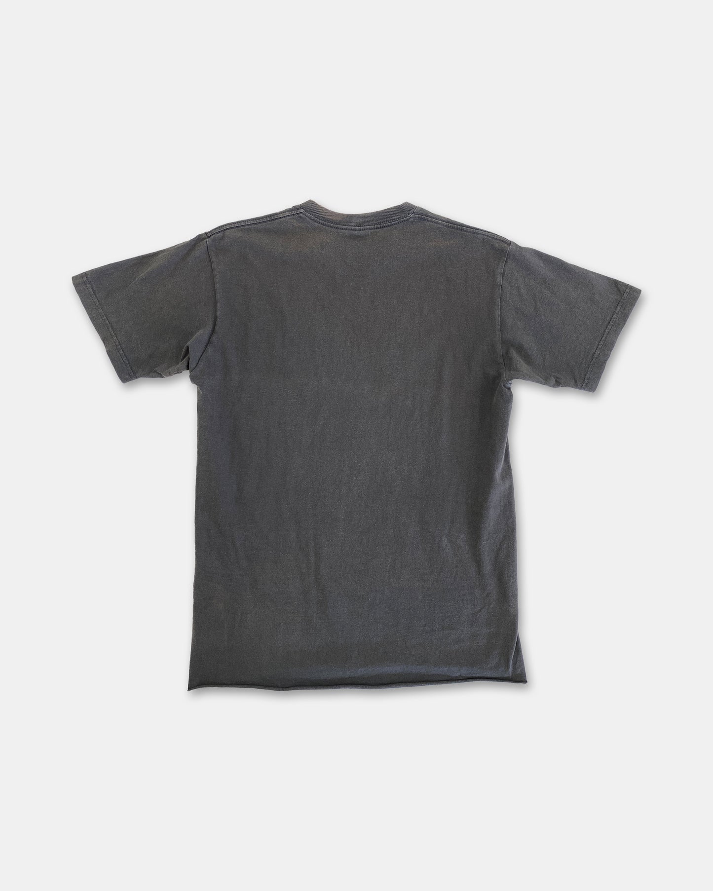 Stüssy 2000s Logo T-Shirt Faded Grey